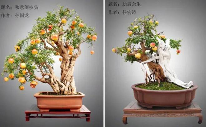 星空体育平台：会员周报：2024中国攀岩自然岩壁系列赛华山圆满落幕；黄山风景区宣布打造国内首个“全程AI伴游”景区(图5)