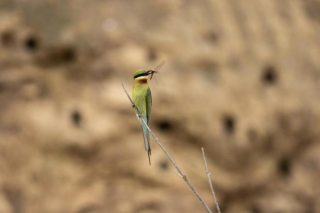瑞幸咖啡荣获2024网易财经·企业优秀ESG实践案例——“年度ESG价值品牌”奖项(图7)