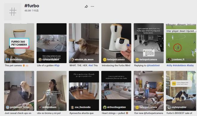 宠物出海品牌Furbo、Petkit和PetSnowy合作了哪些高性价比红人？(图4)