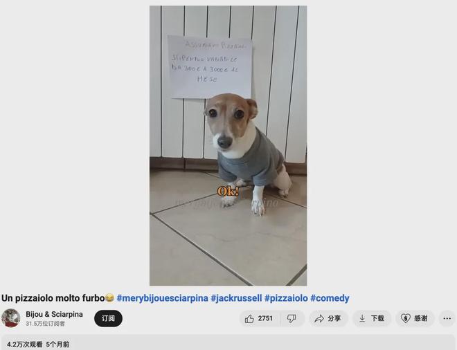 宠物出海品牌Furbo、Petkit和PetSnowy合作了哪些高性价比红人？(图7)