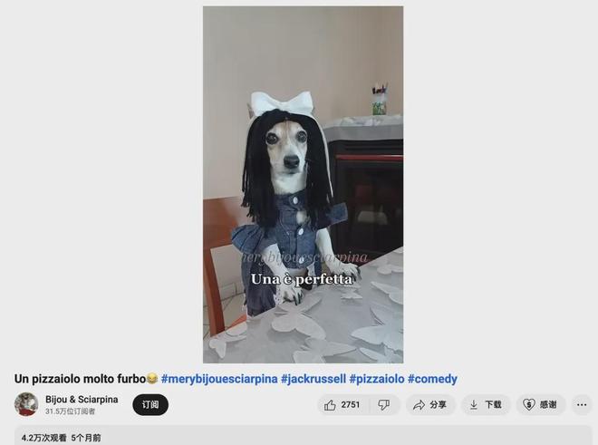 宠物出海品牌Furbo、Petkit和PetSnowy合作了哪些高性价比红人？(图8)