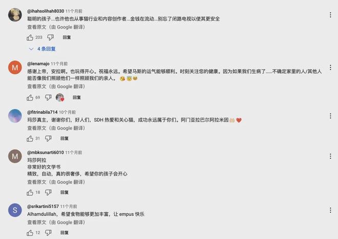 宠物出海品牌Furbo、Petkit和PetSnowy合作了哪些高性价比红人？(图15)