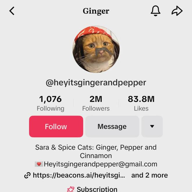 宠物出海品牌Furbo、Petkit和PetSnowy合作了哪些高性价比红人？(图17)