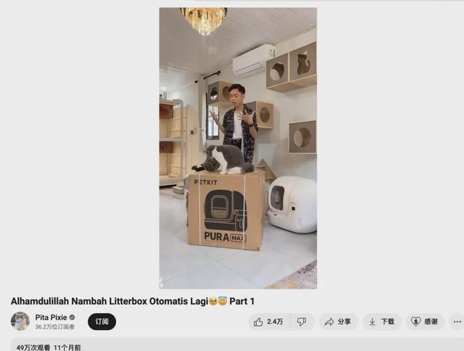 宠物出海品牌Furbo、Petkit和PetSnowy合作了哪些高性价比红人？(图13)