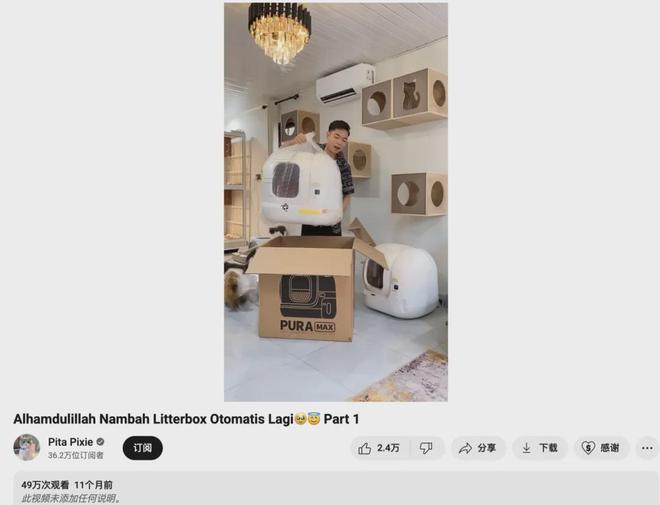 宠物出海品牌Furbo、Petkit和PetSnowy合作了哪些高性价比红人？(图14)