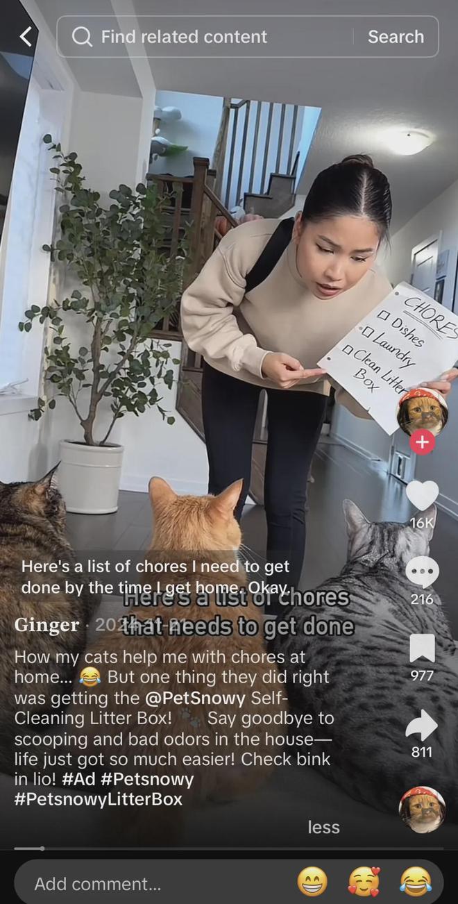 宠物出海品牌Furbo、Petkit和PetSnowy合作了哪些高性价比红人？(图20)