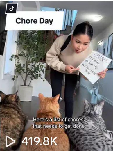 宠物出海品牌Furbo、Petkit和PetSnowy合作了哪些高性价比红人？(图18)