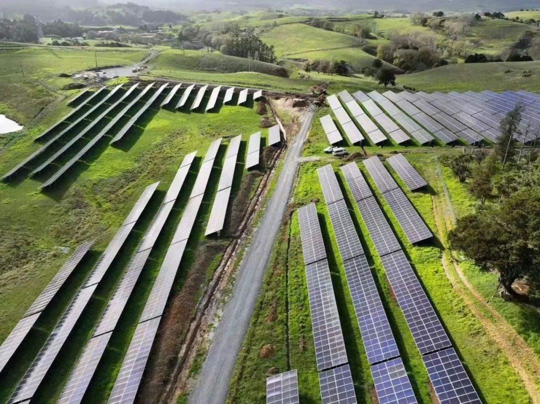 助力中新绿色合作中国驻奥克兰总领馆深入正泰新能源光伏EPC项目现场(图2)