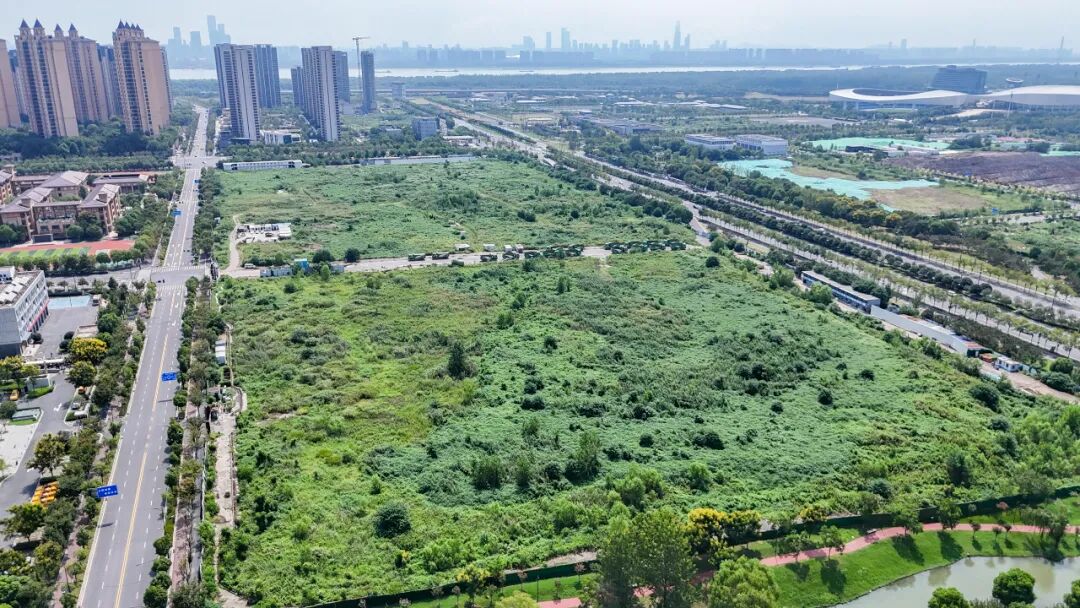 猛料！苦等16年南京困难工程今年复工(图4)