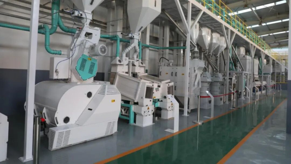 星空体育网址：“农”墨重彩促振兴津沽大地绘新卷！(图3)