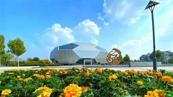 星空体育网址：“农”墨重彩促振兴津沽大地绘新卷！(图8)