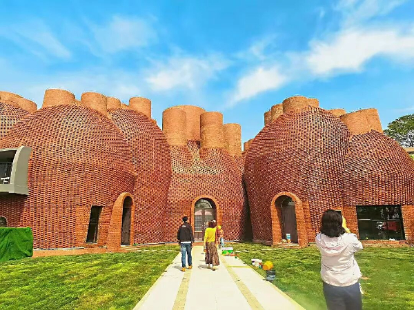 星空体育网址：“农”墨重彩促振兴津沽大地绘新卷！(图6)