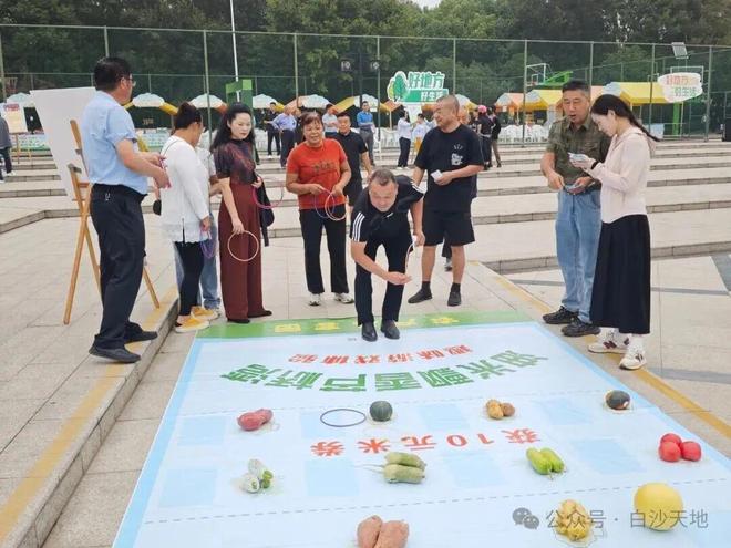 历时3天!仪征这场展览会达成销售额1800万元(图6)