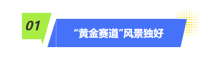 星空体育平台：15万人黄金赛道逐梦黄马激荡城市活力(图3)