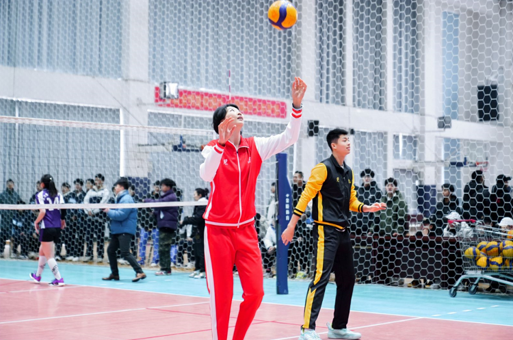 一场比赛带火一座城临沂缘何化身“排球名城”？(图2)